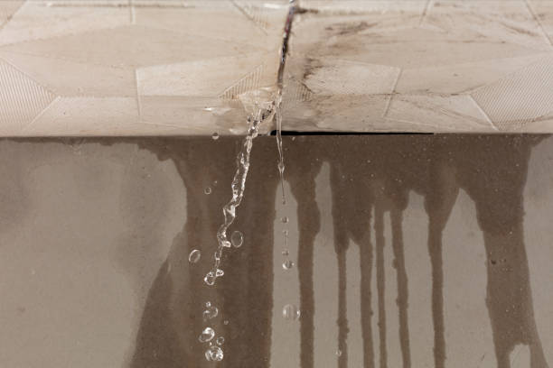 Professional Flood Damage Cleanup technician working in Worthing, SD
